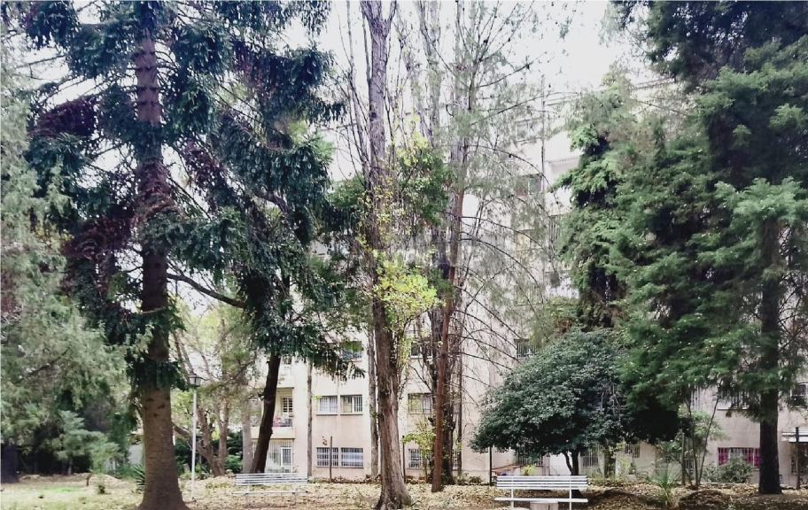 Departamento en Alquiler en Capital, Mendoza