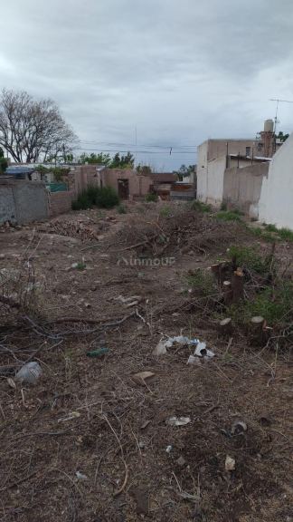 Lote en Venta en San Martin, Mendoza