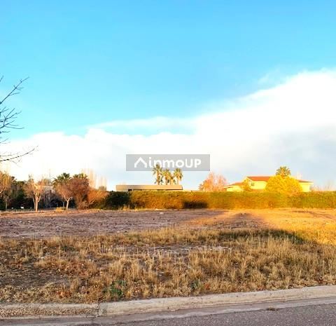 Lote en Venta en Lujan de Cuyo, Mendoza