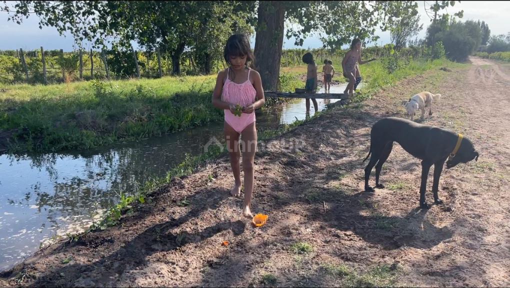 Finca en Venta en Lavalle, Mendoza