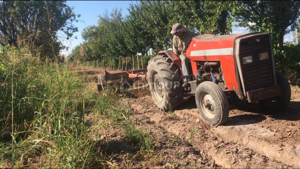 Finca en Venta en Lavalle, Mendoza