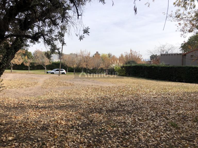 Terreno en Venta en Lujan de Cuyo, Mendoza