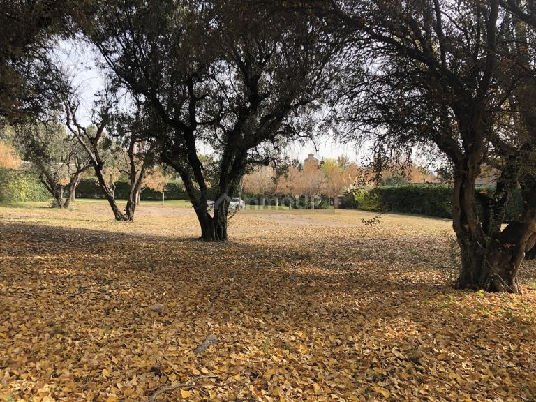 Terreno en Venta en Lujan de Cuyo, Mendoza
