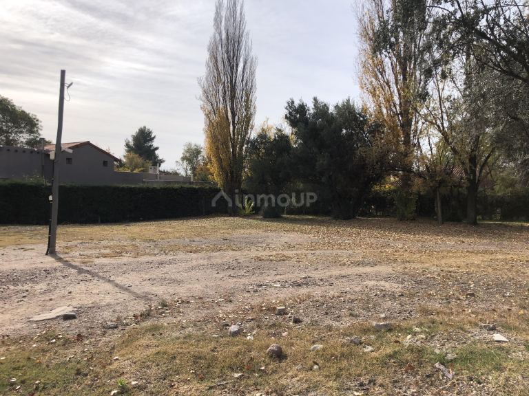 Terreno en Venta en Lujan de Cuyo, Mendoza