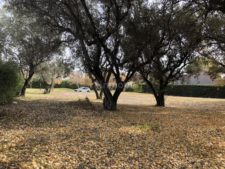 Terreno en Venta en Lujan de Cuyo, Mendoza