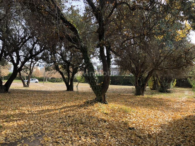 Terreno en Venta en Lujan de Cuyo, Mendoza