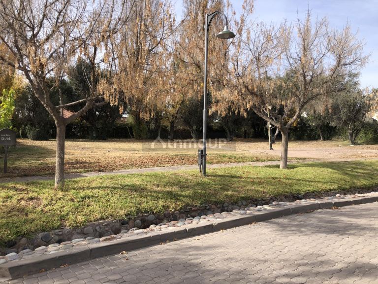 Terreno en Venta en Lujan de Cuyo, Mendoza