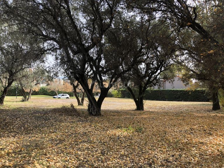 Terreno en Venta en Lujan de Cuyo, Mendoza