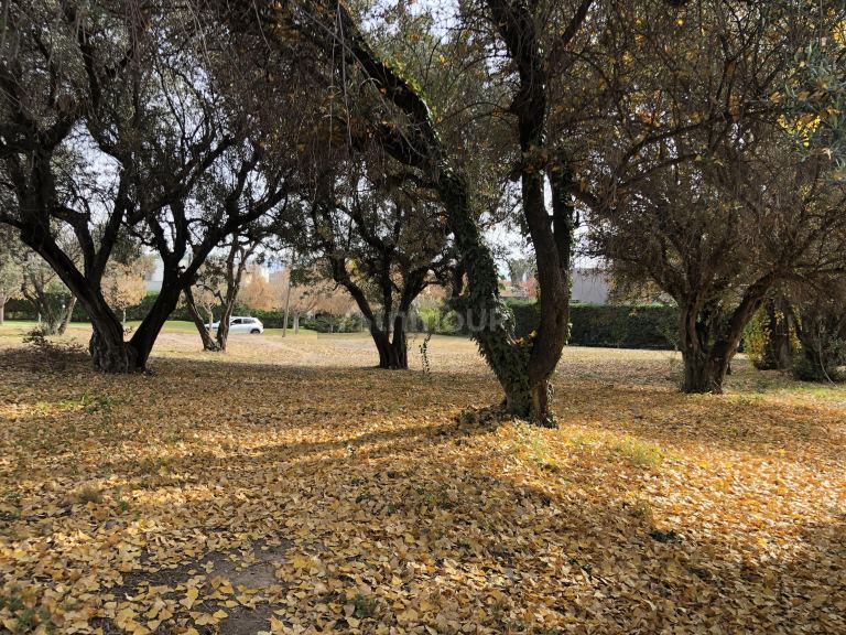 Terreno en Venta en Lujan de Cuyo, Mendoza