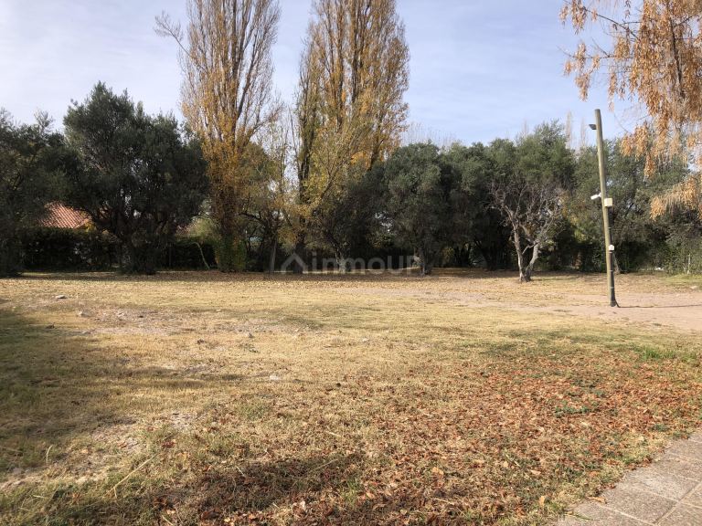 Terreno en Venta en Lujan de Cuyo, Mendoza