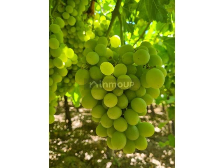 Finca en Venta en Capital, San Juan