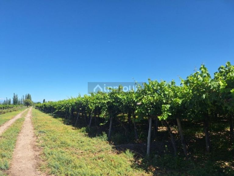 Finca en Venta en Capital, San Juan