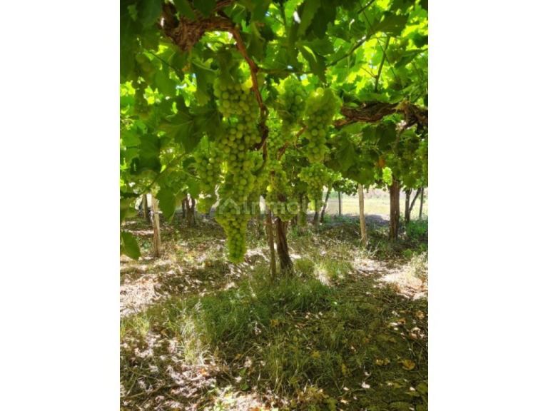 Finca en Venta en Capital, San Juan