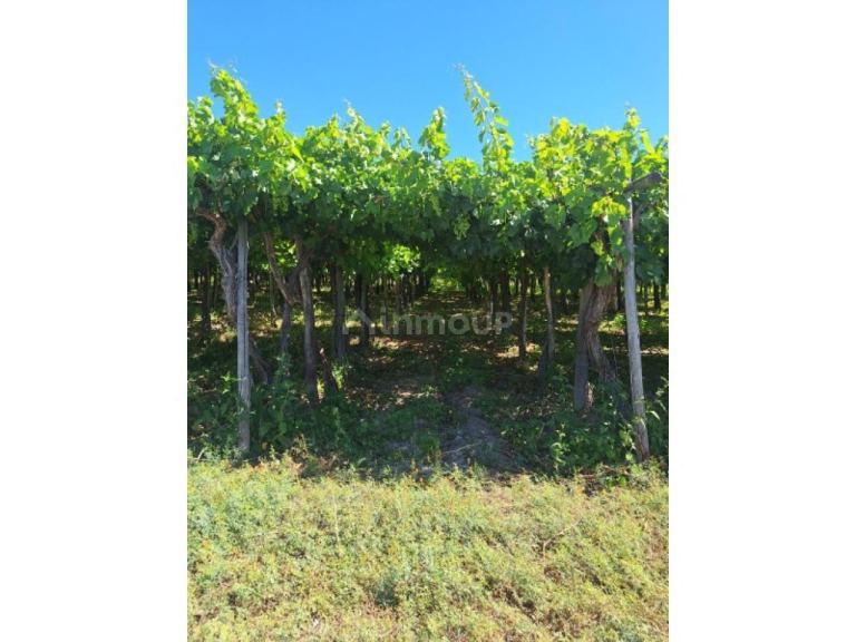 Finca en Venta en Capital, San Juan