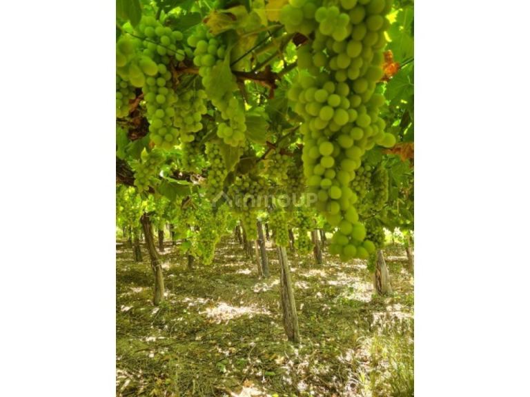 Finca en Venta en Capital, San Juan