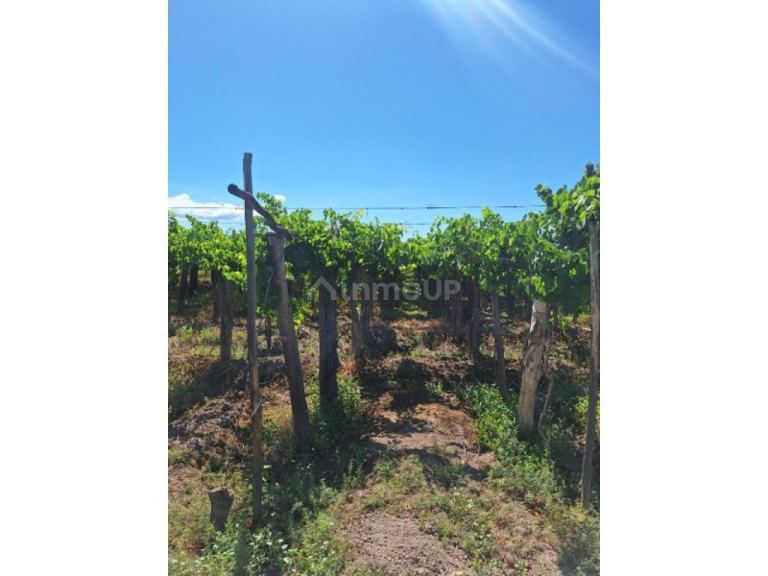 Finca en Venta en Capital, San Juan