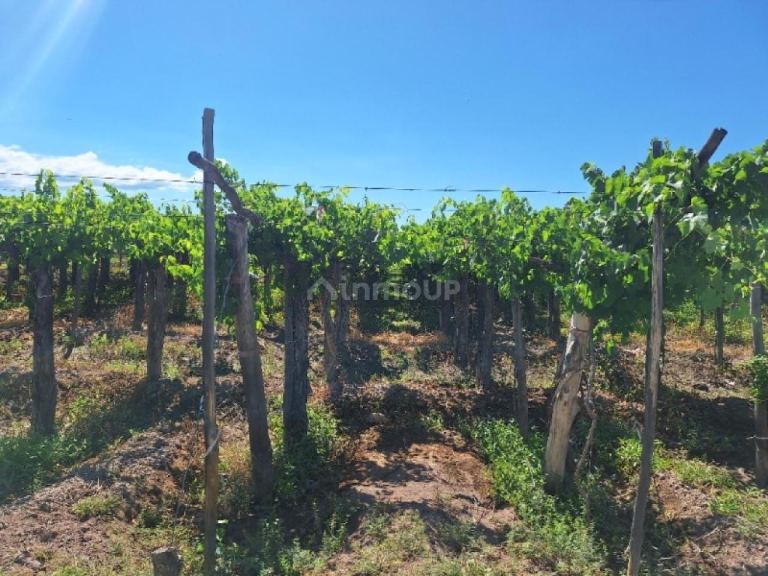 Finca en Venta en Capital, San Juan