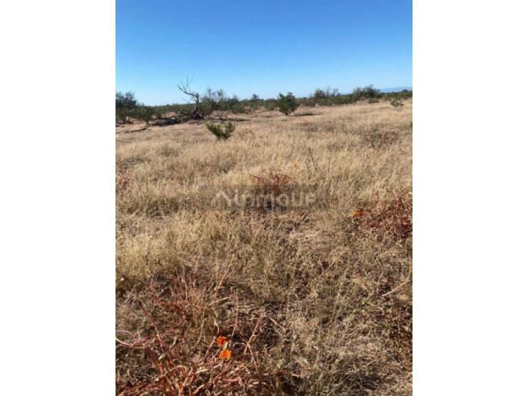 Finca en Venta en Capital, San Juan