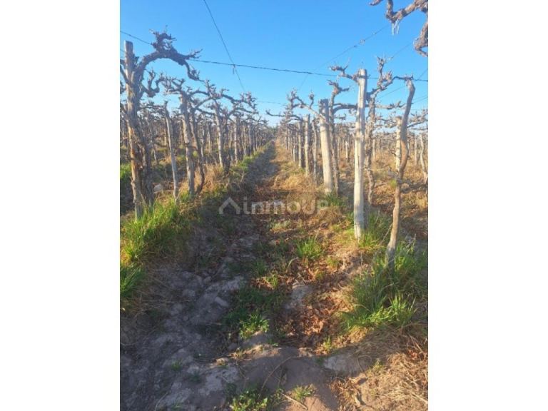 Finca en Venta en Capital, San Juan