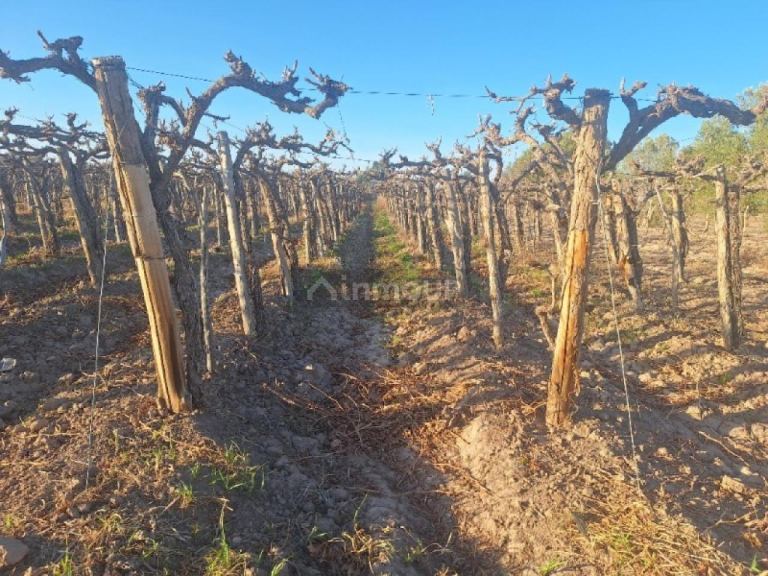 Finca en Venta en Capital, San Juan