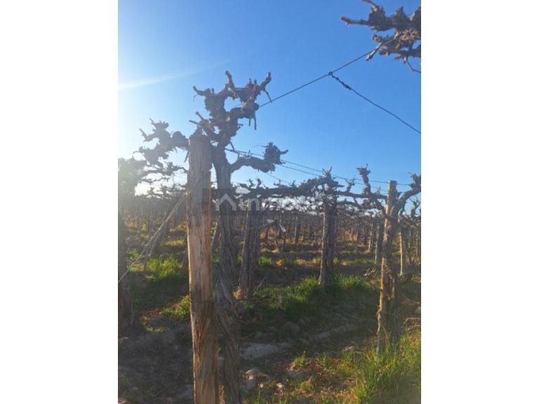 Finca en Venta en Capital, San Juan