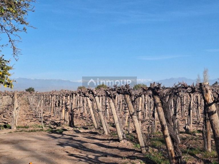 Finca en Venta en Capital, San Juan