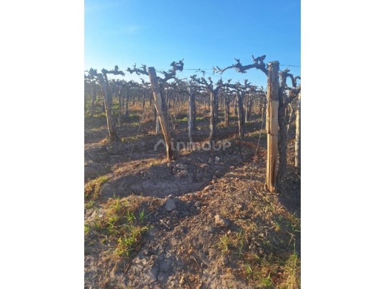 Finca en Venta en Capital, San Juan