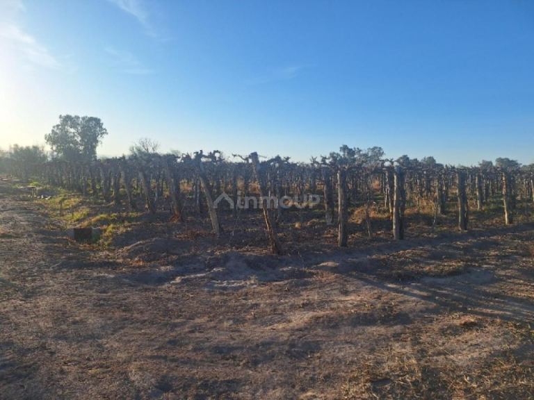 Finca en Venta en Capital, San Juan