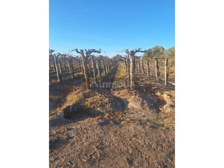 Finca en Venta en Capital, San Juan