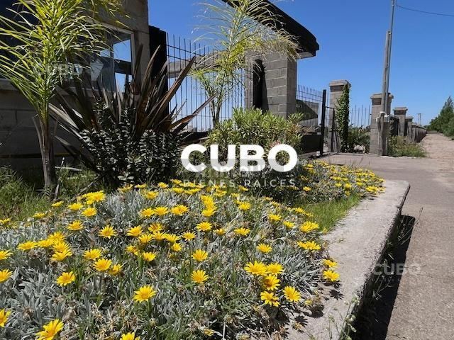 Terreno en Venta en Maipu, Mendoza