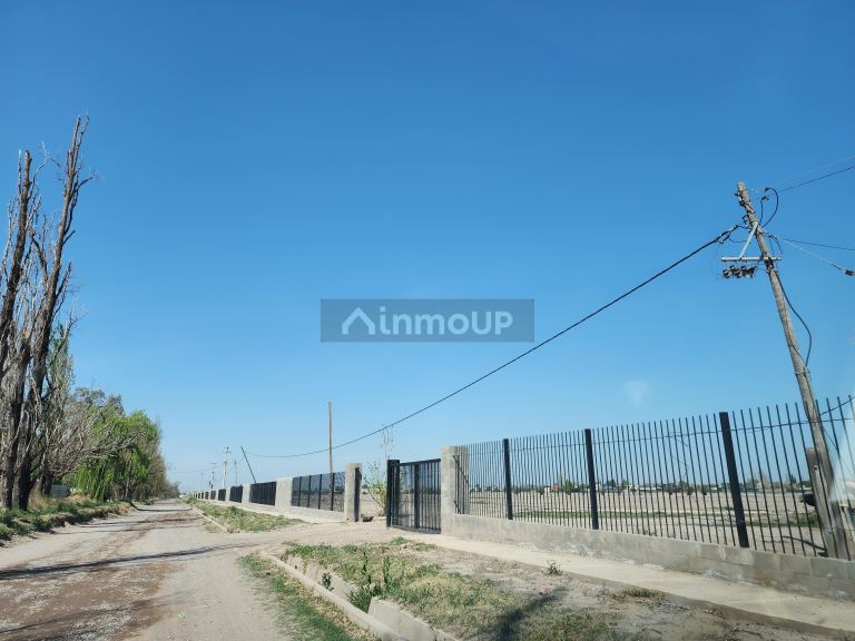 Lote en Venta en Lujan de Cuyo, Mendoza
