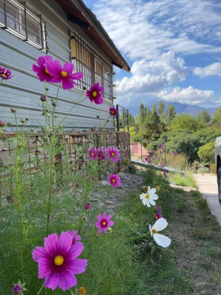 Cabaña en Venta en Lujan de Cuyo, Mendoza