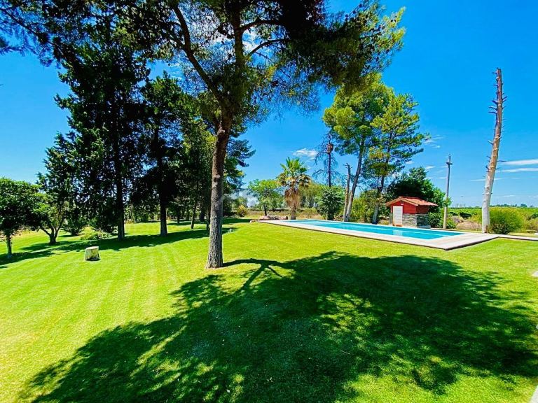 Finca en Venta en Lujan de Cuyo, Mendoza