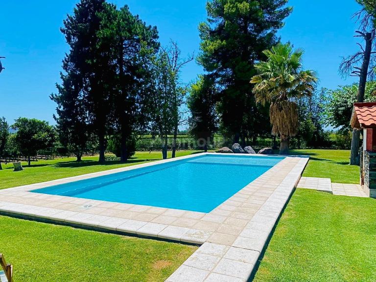 Finca en Venta en Lujan de Cuyo, Mendoza