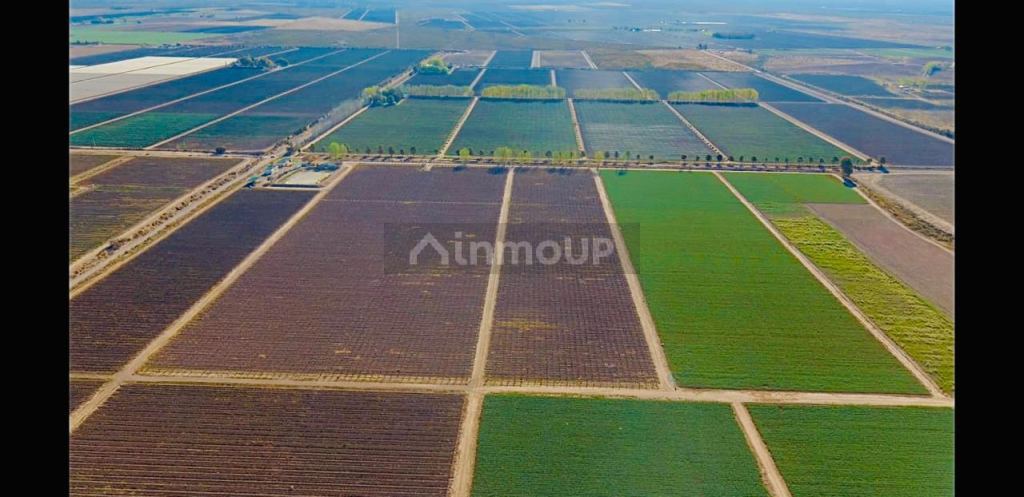 Finca en Venta en Lujan de Cuyo, Mendoza