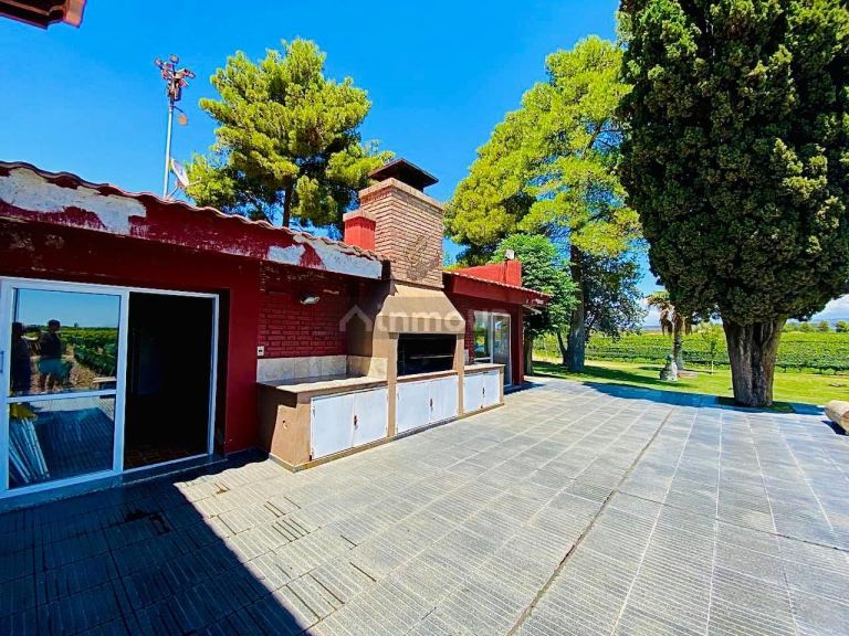 Finca en Venta en Lujan de Cuyo, Mendoza