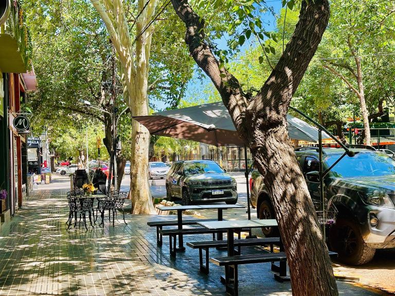 Local Comercial en Alquiler en Capital, Mendoza