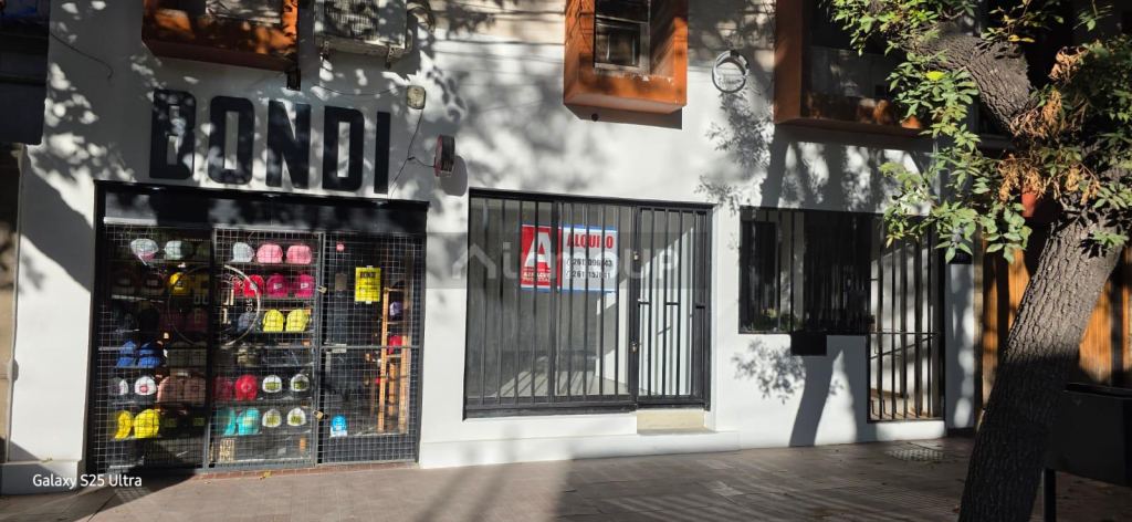 Local Comercial en Alquiler en Capital, Mendoza