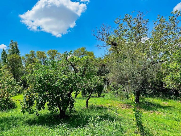 Finca en Venta en Maipu, Mendoza