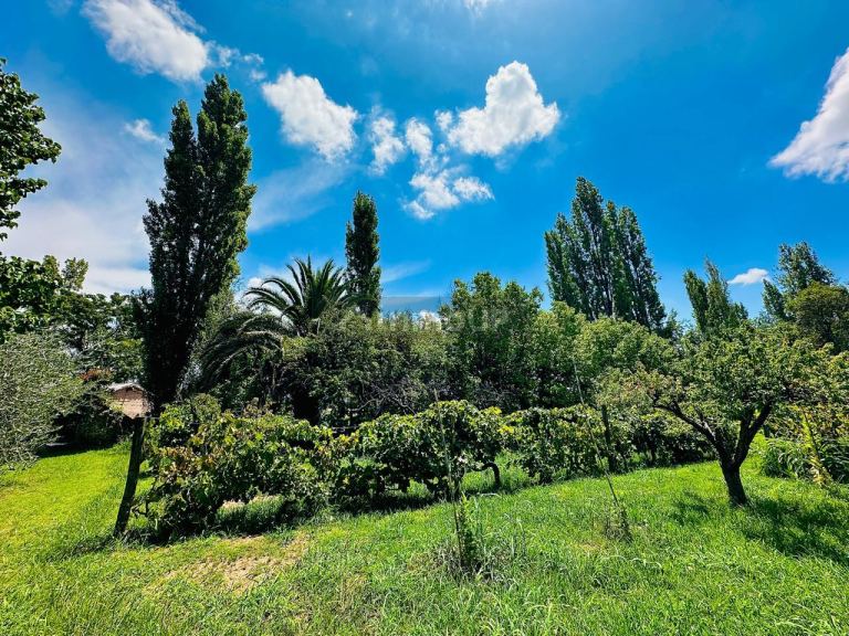 Finca en Venta en Maipu, Mendoza