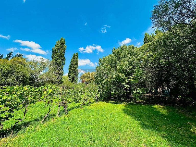 Finca en Venta en Maipu, Mendoza
