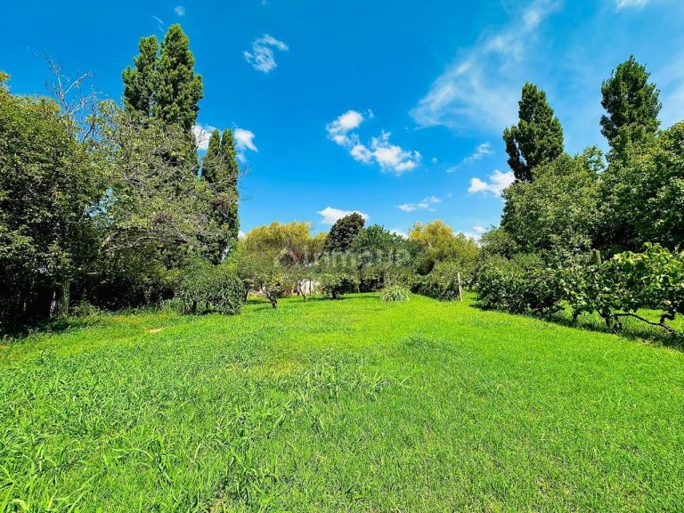 Finca en Venta en Maipu, Mendoza