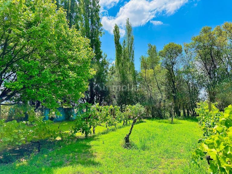 Finca en Venta en Maipu, Mendoza