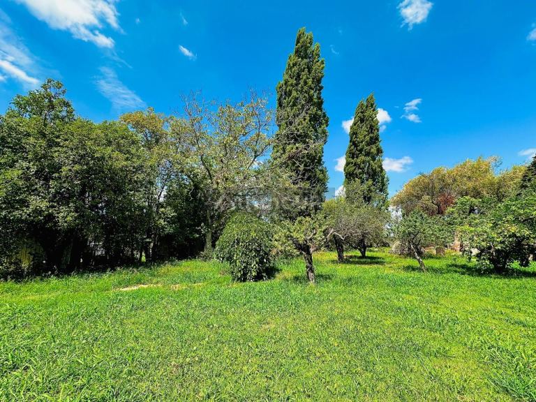 Finca en Venta en Maipu, Mendoza