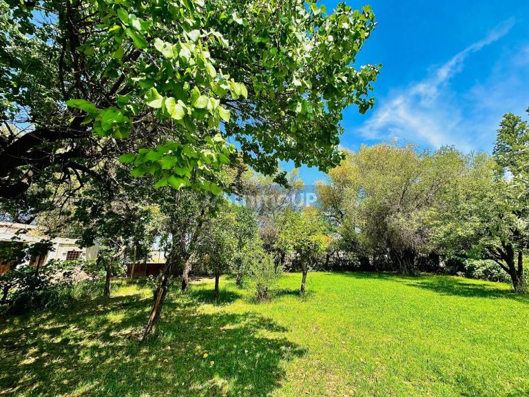 Finca en Venta en Maipu, Mendoza