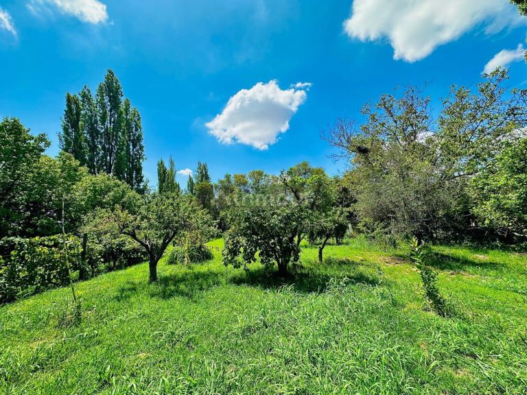 Finca en Venta en Maipu, Mendoza