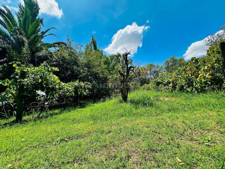 Finca en Venta en Maipu, Mendoza
