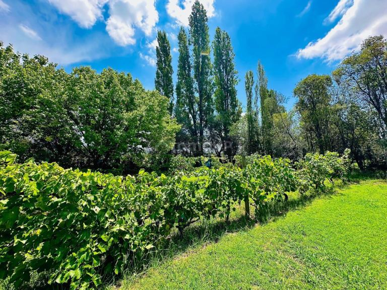 Finca en Venta en Maipu, Mendoza