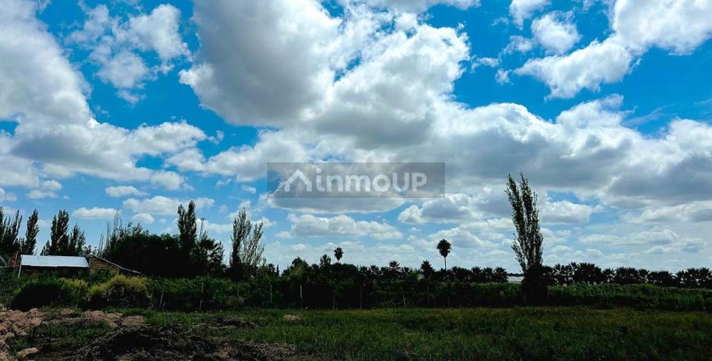 Finca en Venta en Guaymallen, Mendoza