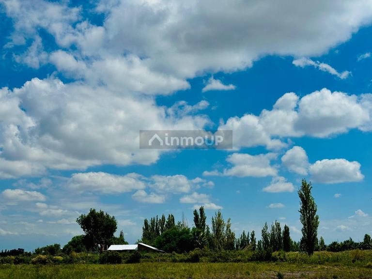 Finca en Venta en Guaymallen, Mendoza